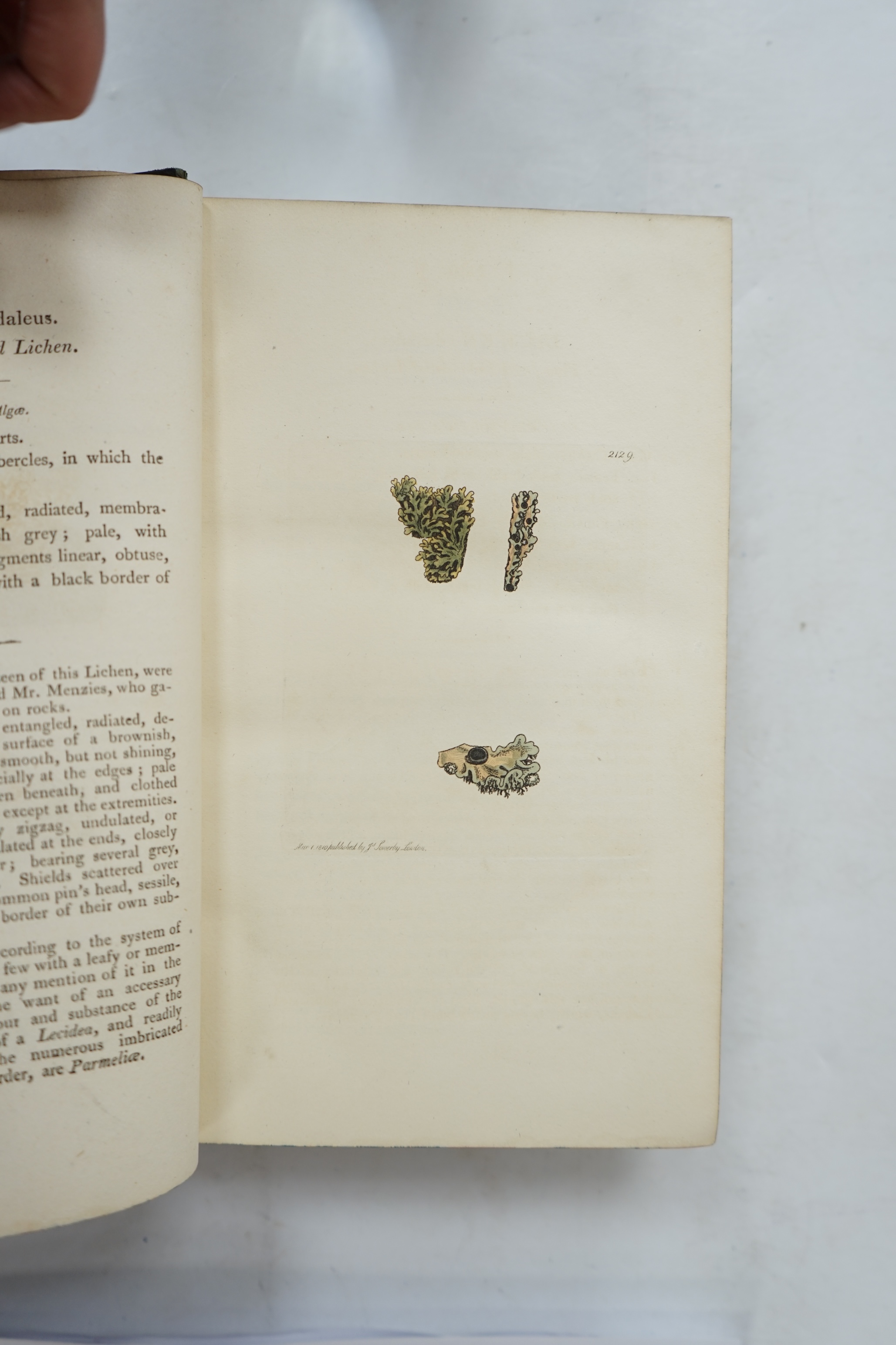 Sowerby, James and Smith, James Edward - English Botany, or, Coloured Figures of British Plants ..., 14 vols, with approximately 2,544 hand coloured plates, all randomly bound in, J. Davis, London, 1794-1802, 1804 and 18